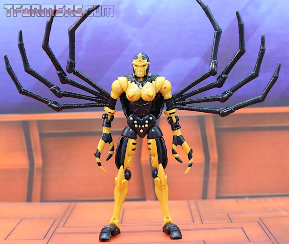 kingdom blackarachnia review